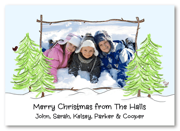 Cardinals in Pines Photo Cards