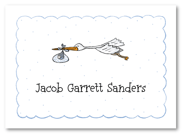 Stork And Baby Boy Folded Notecard