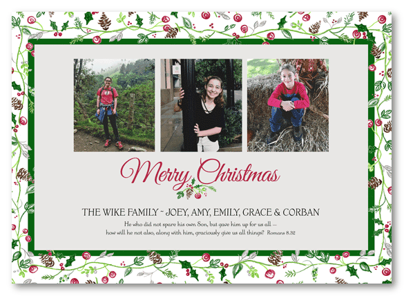Thick Holly Sprig Border Photo Cards